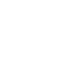 Lions International